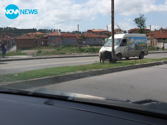 Европейски път