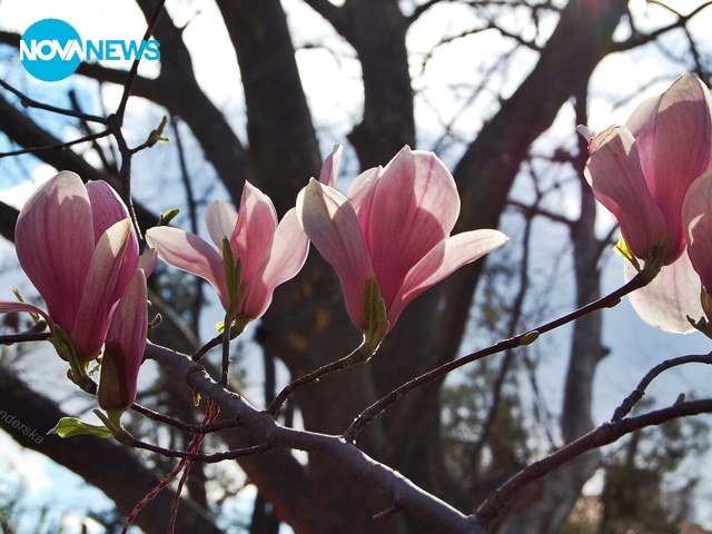 Прогноза за времето