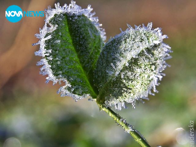 Прогноза за времето -1