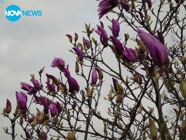 Пролетно настроение