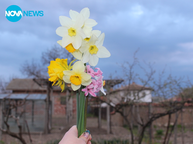 Пролетен букет