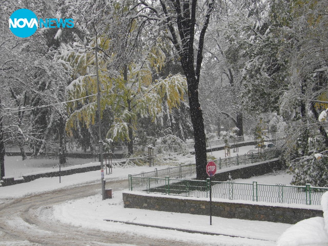 Снежна есен в Севлиево