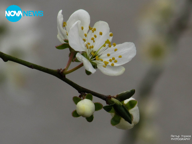 Пролетта дойде