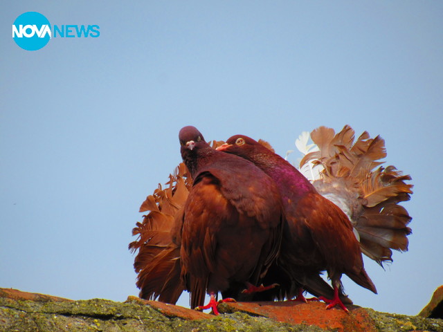 Всичко е Любов!