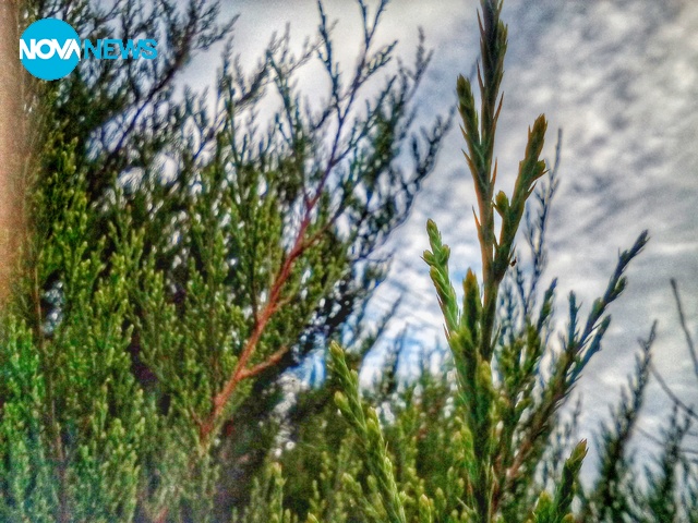 Снимка за прогноза на времето-5