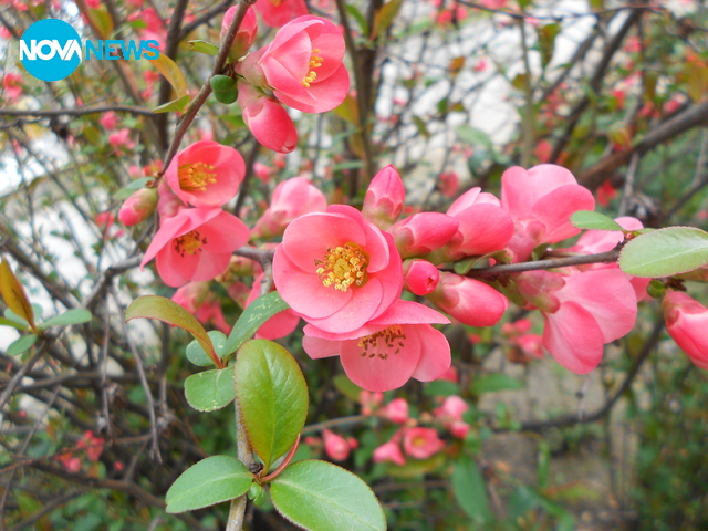 Пролетта ни се усмихна!
