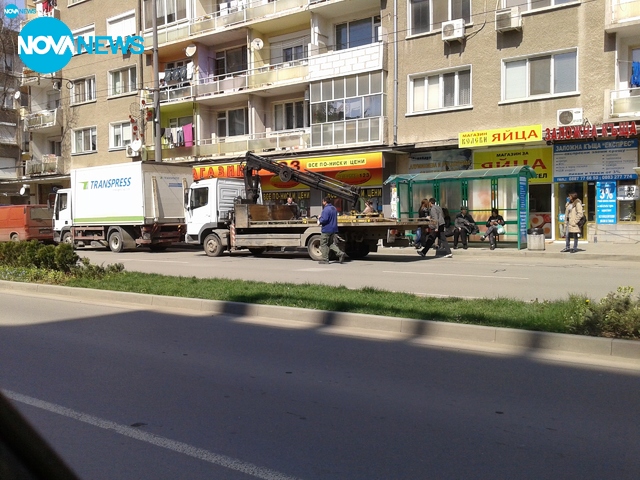 Как спират паяците в Стара Загора?