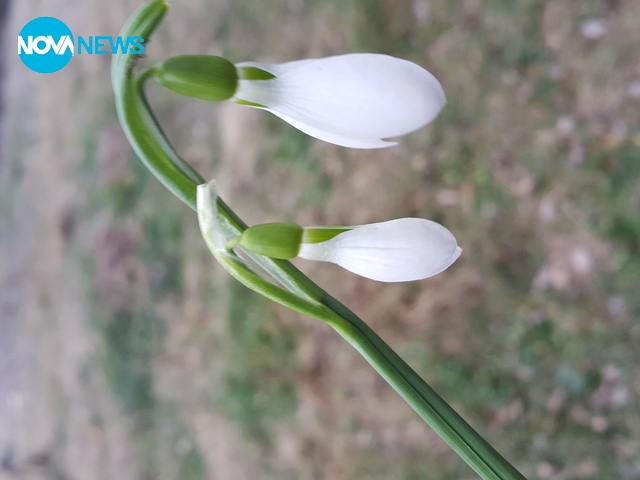 Да си уникален