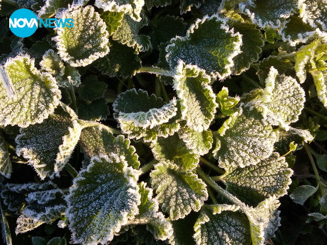 Сланата в Плевенско