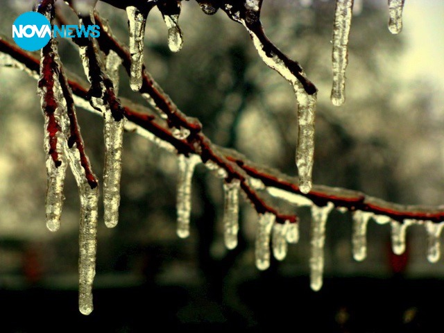 Зимна красота