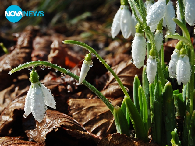 Пролетни усмивки