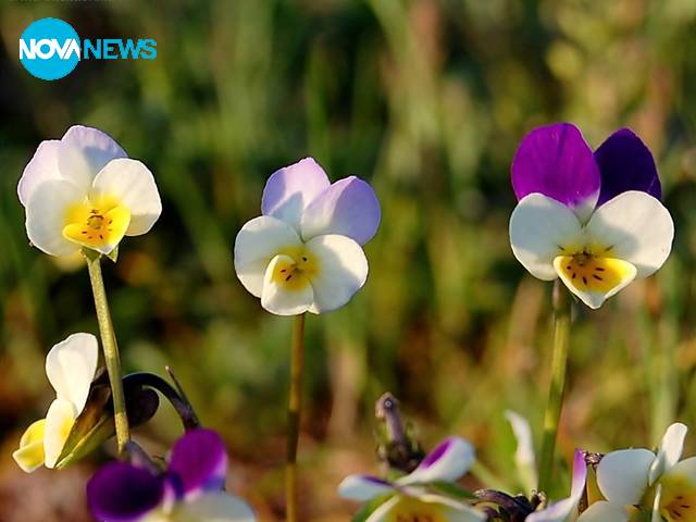 Настроение през март