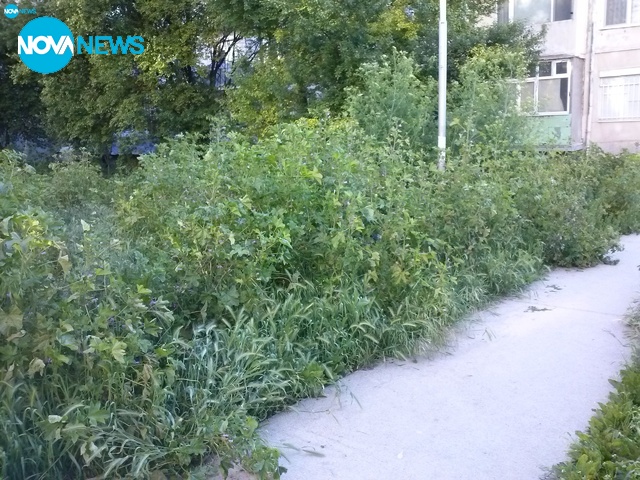 Занемарено междублоково пространство