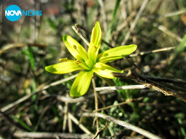 С поглед към слънцето!