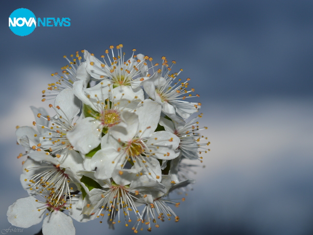 Пролетно-дъждовно