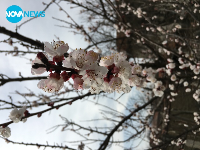 Пролет в с. Куртово Конаре