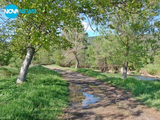 Прогноза за времето