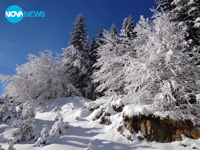 Снежна белота