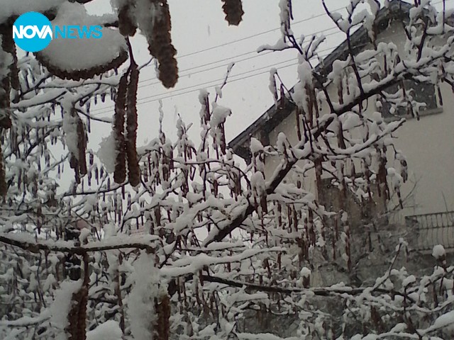 Мартенски сняг в Долна баня