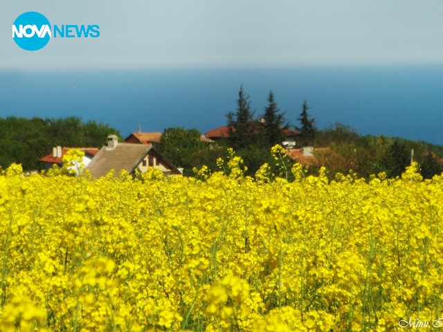 Красиви снимки за "Прогноза за времето"