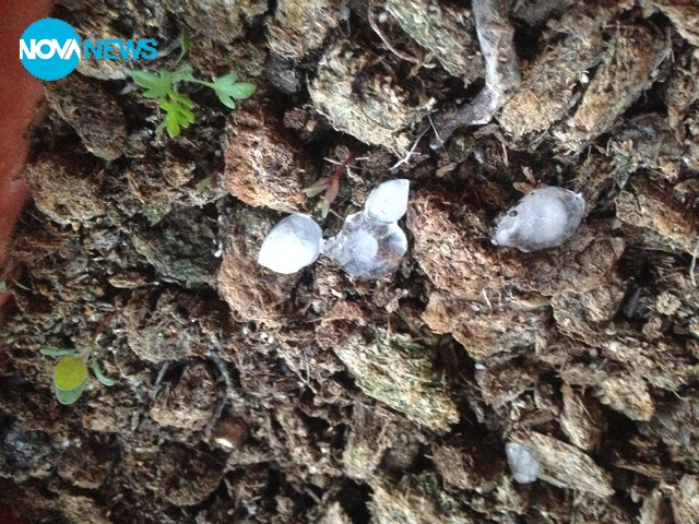 Неочаквана градушка