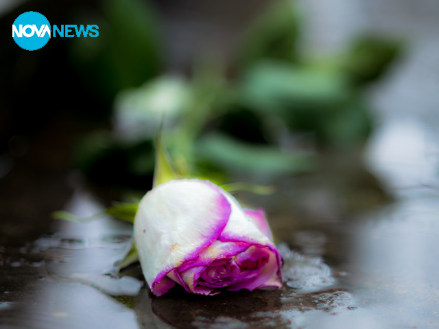 Дъждовна нежност