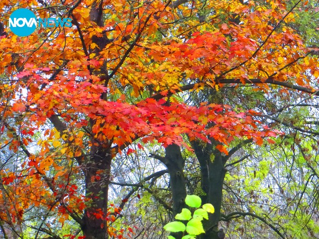 Красота от гр.Бяла Слатина