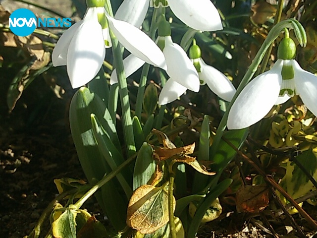 Пролетта е тук