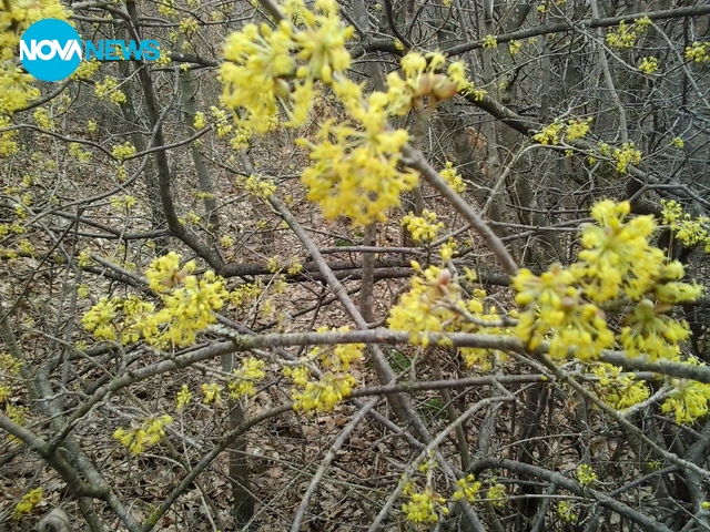 Пролет иде!