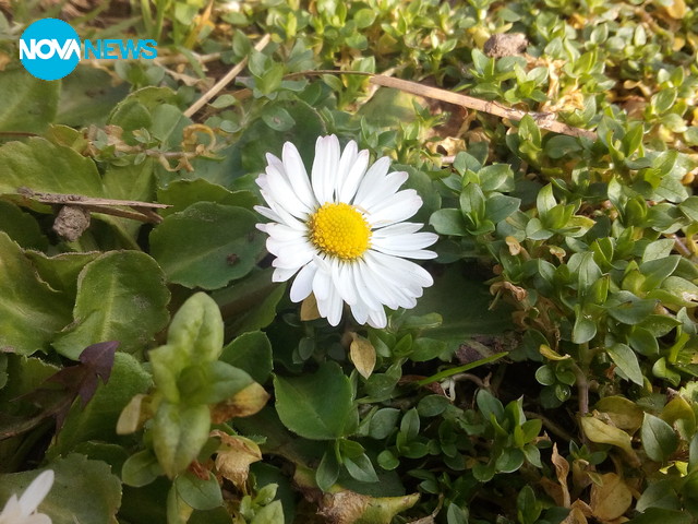 Пролетна снимка