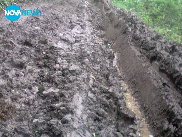 Своеволие в Еленския Балкан