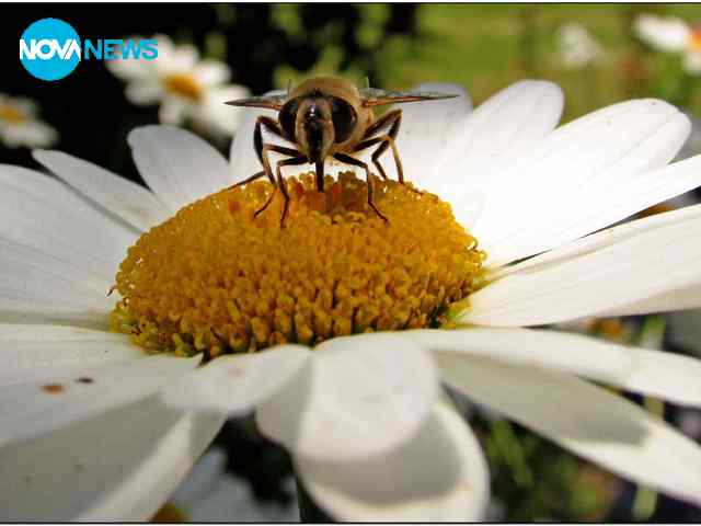 Пролетно настроение