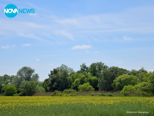 Тракийска пролет