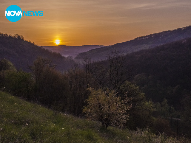 В планината