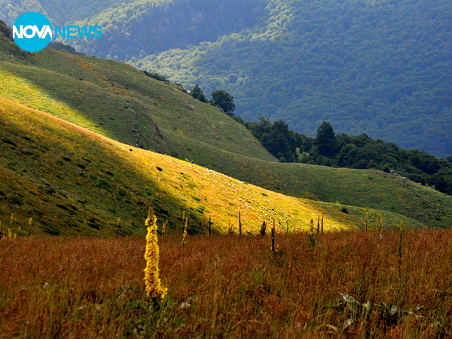 Лъч на вдъхновение