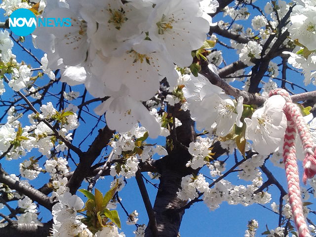 Снимка за времето