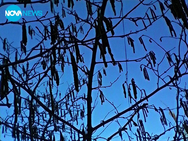 С пролетно настроение...