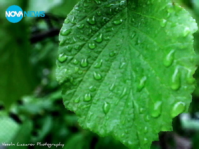Дъждовно и хладно е времето днес
