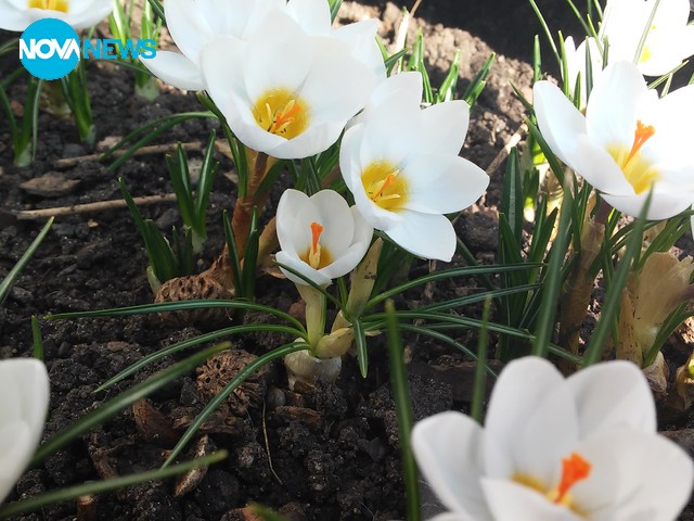 Пролетта дойде