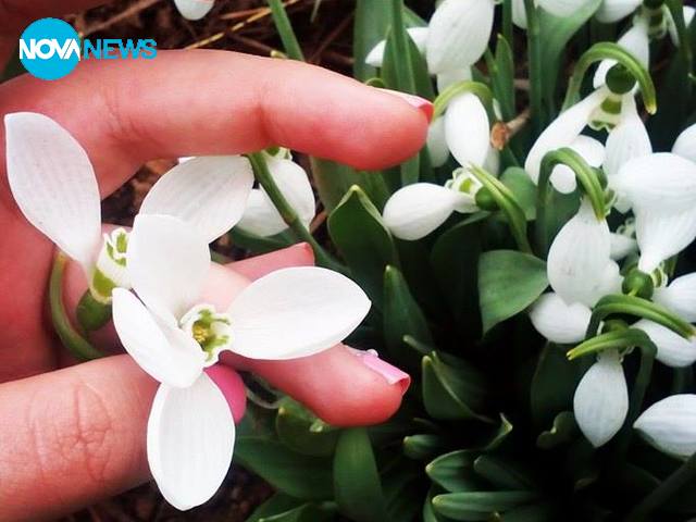 Пролетта идва