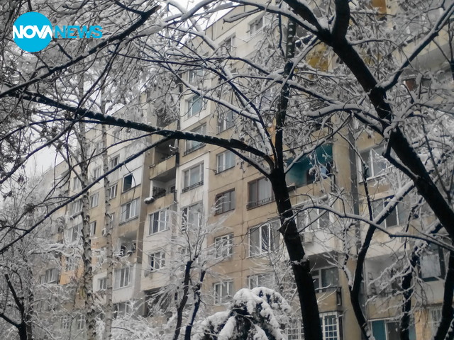 Опасни клони в София