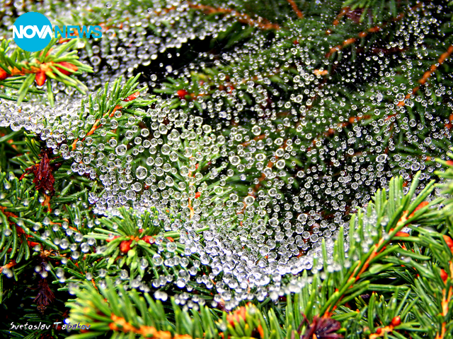 След дъжд...