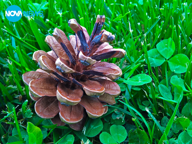 Снимка за времето