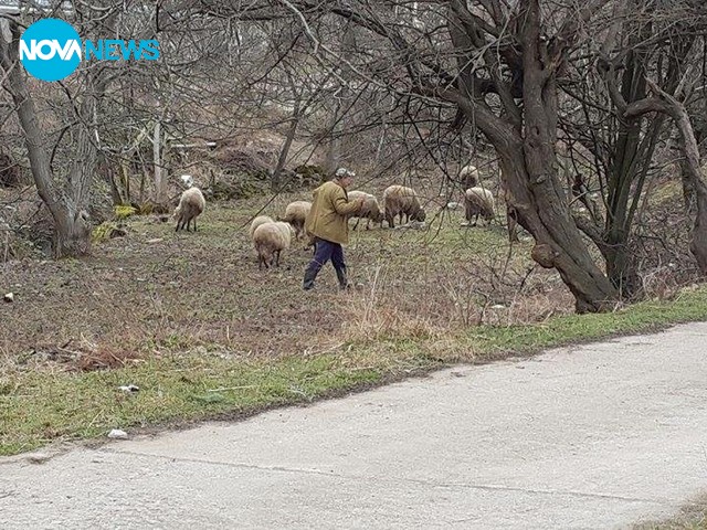 Замърсяване на природата