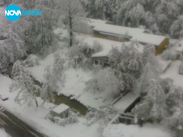 Паднали дървета в Габрово