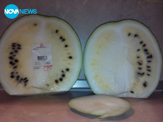 Нов вид диня