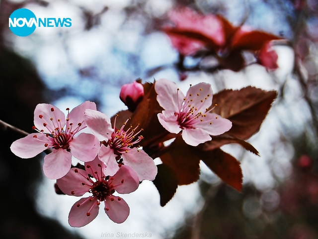 Пролетно настроение за всички