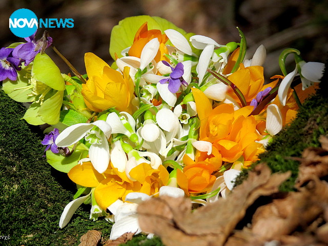 Усмивките на пролетта!