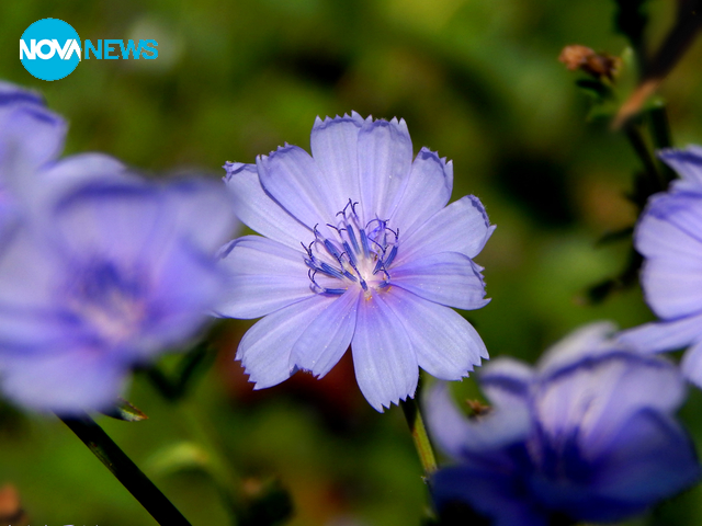 Когато нежността говори...