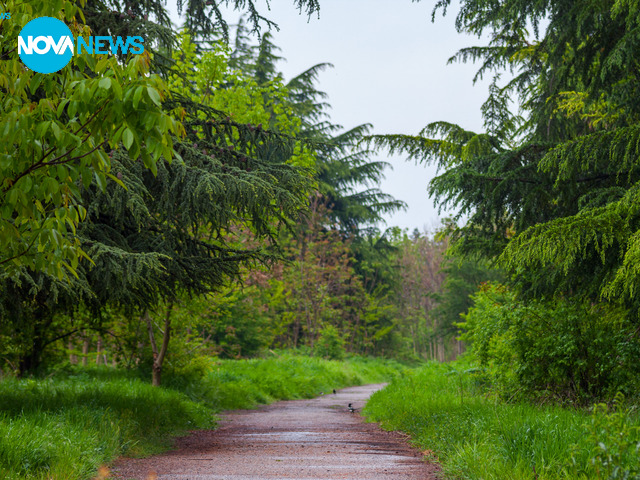 Парк "Бедечка" в Стара Загора (ГАЛЕРИЯ)